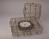 Wire Basket